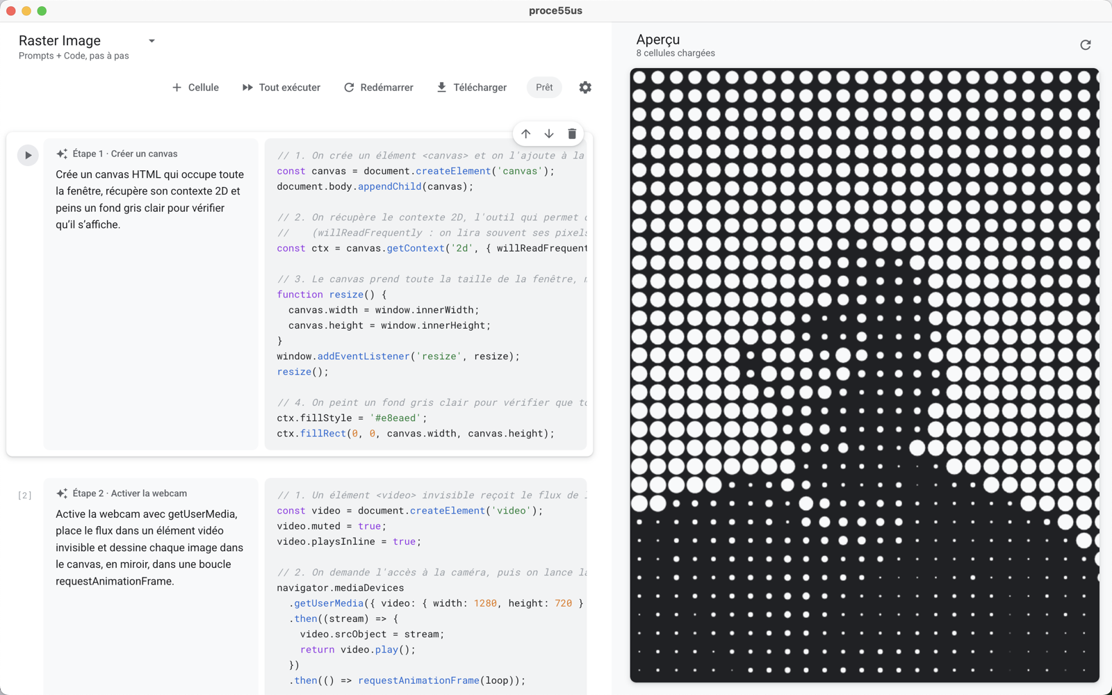 The PROCE55US app: prompts and code cells on the left, live preview on the right